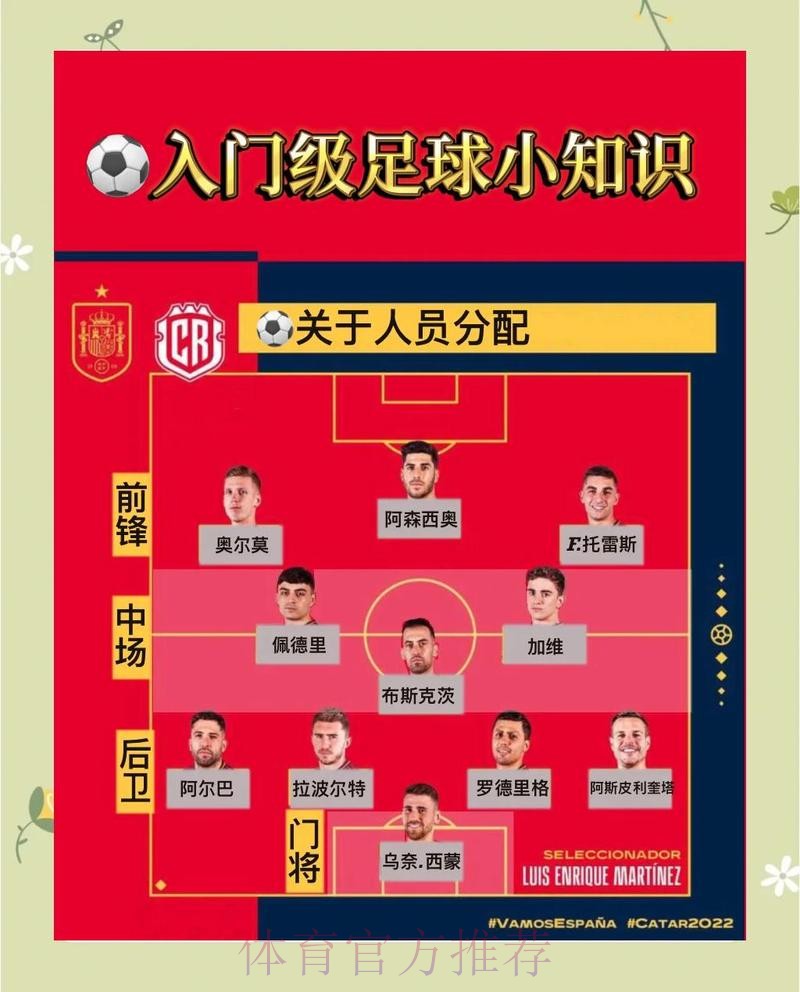 世界杯投注全景解读：高清全站导航